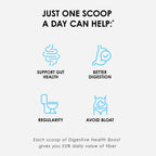 Digestive Health Boost key benefits