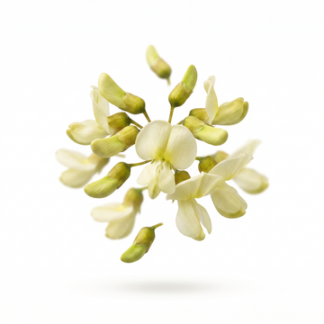Quercetin, Beta Alanine - Endurance, fight fatigue*