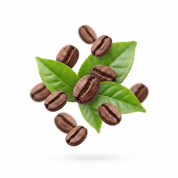 Green Tea & Coffee Bean Extract - Clean, natural energy
