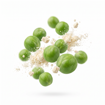 Peas and Protein Powder. 20g Timed-Release Protein - Builds and repairs muscle
