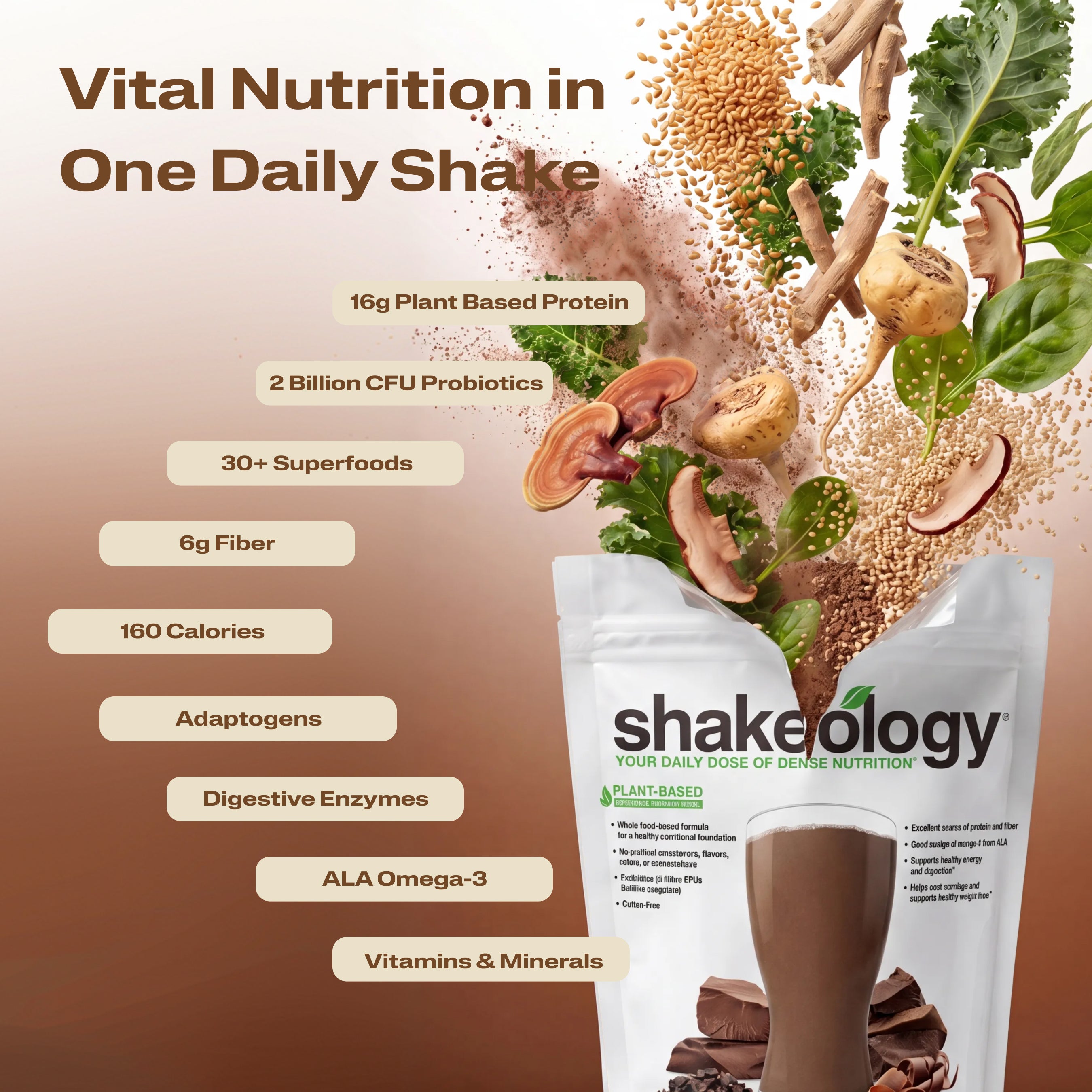 Shakeology Original Superfood Nutrition Powder | BODi