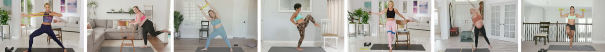 Pre and Post Natal Barre Blend workouts